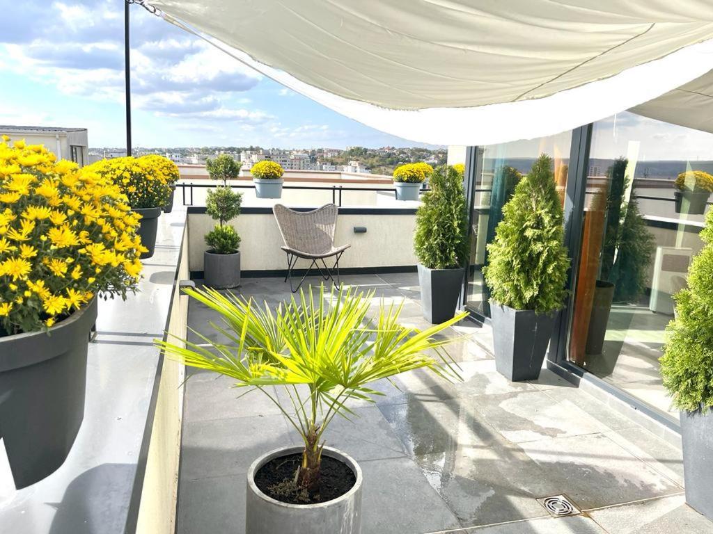 Penthouse Exclusive View , Iasi Apartment Luaran gambar